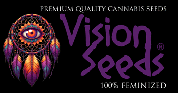 Vision Seeds Logo