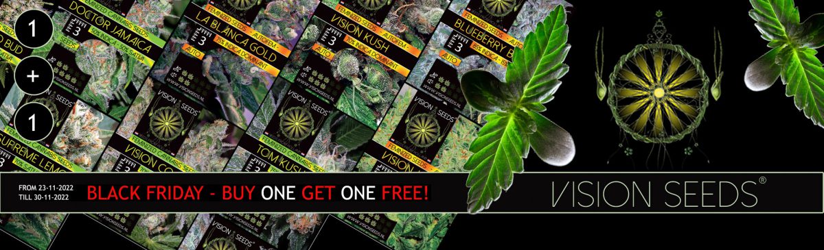 black-friday-promo-header