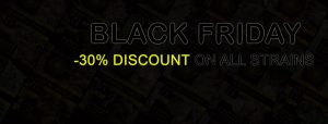 Black Friday at Vision Seeds