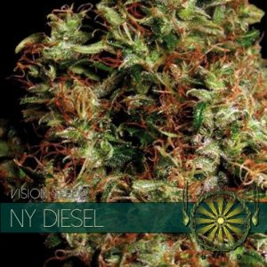 NY Diesel - Vision Seeds